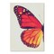 Monarch Butterfly I by Chaos &#x26; Wonder Design  Poster Art Print - Americanflat